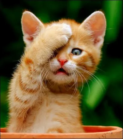 Comment se nommait ce chef lorsqu'il était encore guerrier et lieutenant ?