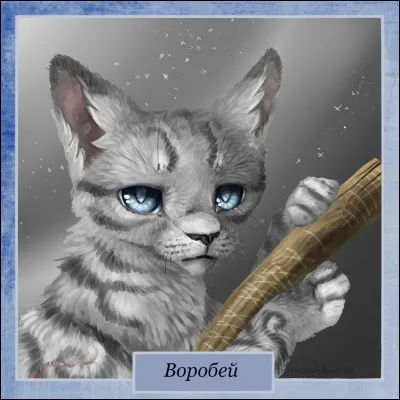 Quel était le nom d'apprenti de Petit Geai ?