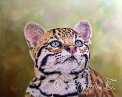 Quel était son nom de guerrier ?