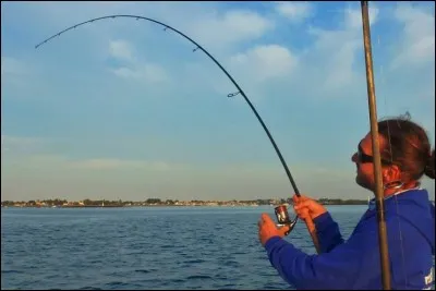 À quel moment doit-on ferrer ?