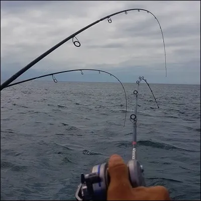 Quel genre de canne préconise-t-on pour la pêche au tenya ?