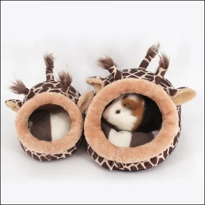 Dans quelle cage préfères-tu habiter ?