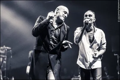 Combien Sinsemilia a-t-il sorti d'albums studio ? (septembre 2018)