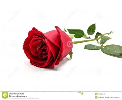 Pour Émile Henriot, cette "fleur" est de quelle ville ?