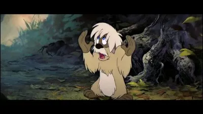 Quel est le prénom de ce drôle d'animal ?