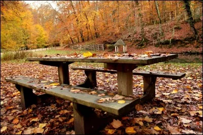 Qui est l'auteur de cette citation : ''L'amour, c'est comme l'été
Il nous faut un automne pour le regretter'' ?