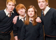 Test Quel Weasley serais-tu ? (Test Harry Potter)