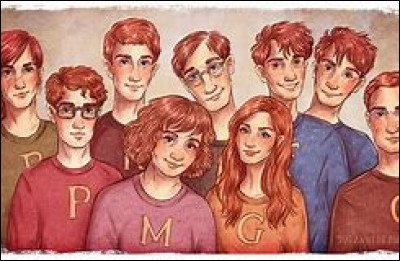 Pourquoi apprécies-tu la famille Weasley ?