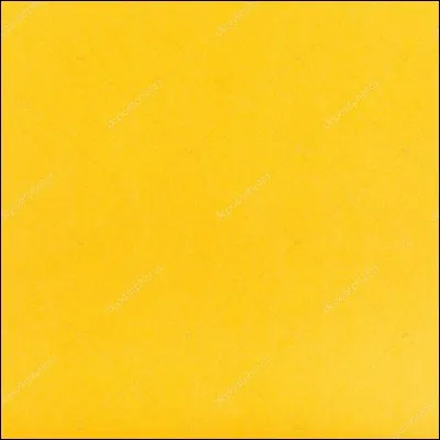 J'ai la couleur jaune sur mon drapeau. Qui ment ?