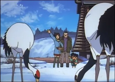 Dans l'affaire "Les grues sauvages d'Hokkaido", qu'est-ce que la victime regardait tous les jours à la même heure à la télévision ?