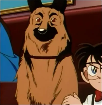 Dans l'affaire "John et l'Assassinat", combien de fois a sonné l'horloge déclenchant la première étape pour que John (le chien) attaque ? (La réponse est assez simple si vous connaissez la période de la journée)