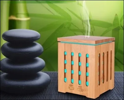 L'utilisation médicale des huiles essentielles est...