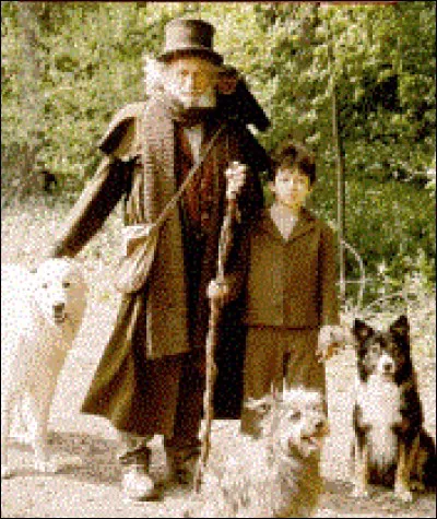 Qui est l'auteur du roman ''Sans Famille'' ?