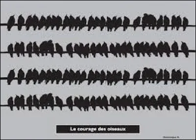 Pour finir, nous écoutons "Le courage des oiseaux", qui a composé et interprété cette chanson ?