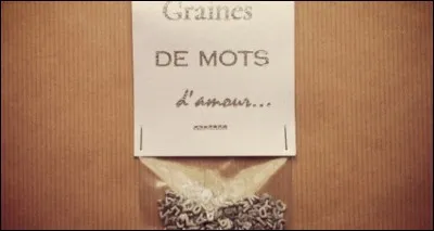 Qui est l'auteur-compositeur et interprète de la chanson 'Quelques mots d'amour' ?