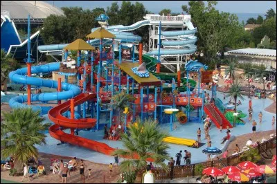 Le rêve de ta vie, c'est...