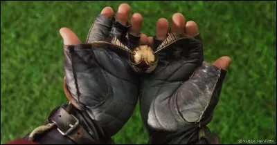 Pour que le Vif d'or s'ouvre dans le 7ème tome, il suffit que Harry le mette dans sa bouche.