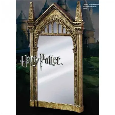 Dumbledore voit une paire de chaussettes en laine dans le miroir du Risèd.