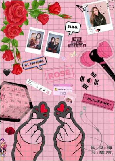 Les BlackPink ont un light-stick officiel, comment est-il ?