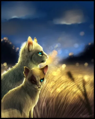 Qui sont les meilleurs amis de Cur de Feu ?