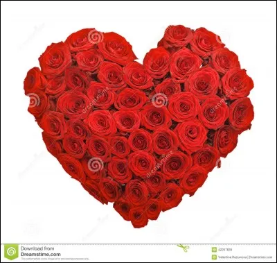 Qui est la dernière personne à être devenue niveau 100 ?