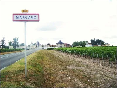 Le Margaux est un vin réputé de :