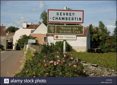Pour les très grandes occasions, offrons-nous ( ou mieux, faisons-nous offrir... ) une bouteille de Gevrey-Chambertin.
C'est un vin de :