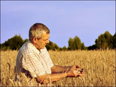 Indiquez quels statuts peut prendre le conjoint du chef d'EA lorsqu'elle travaille dans l'EA.