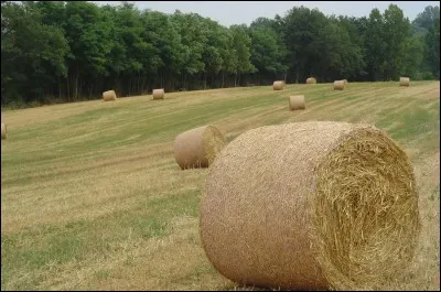 En cas de surcroît de travail, à qui puis-je faire appel pour m'aider ?