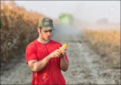 Aide familiale - Indiquez quels critères sont autorisés pour être aide familiale.