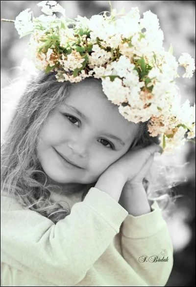 En quelle année s'est déroulé "Le printemps" de la question précédente ?