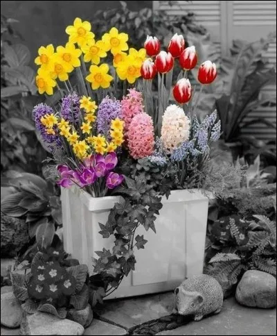 Afin que vous puissiez m'envoyer quelques fleurs, je vous informe que je ne suis pas née au printemps, mais un 14 septembre. Qu'ai-je encore pris l'an dernier à cette date ?