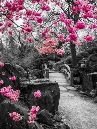 Et enfin, le printemps est la saison...