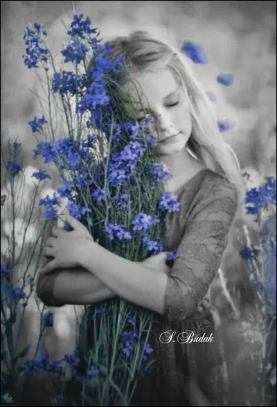 Qui chantait "Comme un printemps sur mon trajet, un diamant tombé du coffret, seule la lumière pourrait défaire nos repères secrets..."