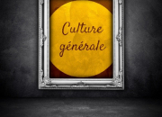 Quiz Culture gnrale (5)