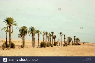 Quelle est la capitale du Maroc ?