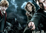 Test Quel personnage de ''Harry Potter'' crois-tu tre ?