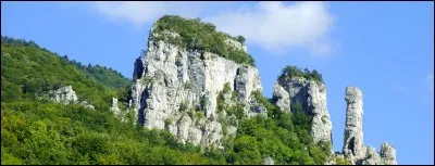 Comment appelle-t-on le patrimoine venant de la nature ?