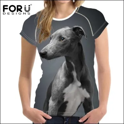 Quel est ce chien (représenté sur le tee-shirt !) ?