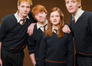 Quiz Es-tu un vrai fan de Harry Potter ?