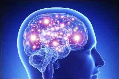 Quel trait de caractère te définit le mieux ?