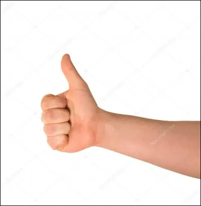 Ce quiz est fini, j'espère que vous l'avez bien réussi ! Je vous dis...