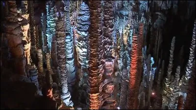 Un autre espace hors du temps : après une descente en funiculaire permettant un accès facile, des guides vous feront admirer, avec un jeu de lumière aux effets changeants, la Forêt Vierge et ses 400 stalagmites uniques. 
C'est une salle féerique qui pourrait loger Notre Dame de Paris.
Où est ce lieu qui abrite une stalagmite haute de 30 mètres ?