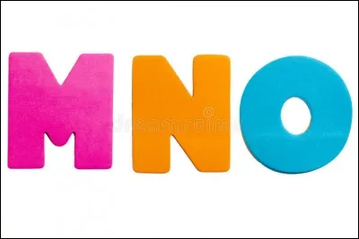 Quel mot est mal écrit ?