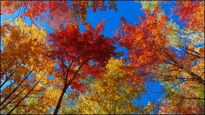 Comment dit-on automne en italien ?