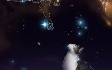 Quiz Animaux bizarres