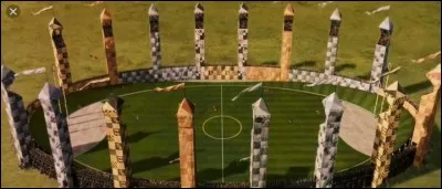 Quel rôle souhaiterais-tu avoir dans une équipe de Quidditch ?