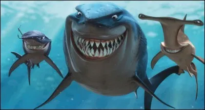Dans quel film apparaît le méchant requin Bruce, accompagné de ses acolytes Chumy et l'Enclume ?