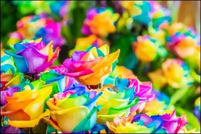 Quelle couleur préfères-tu ?