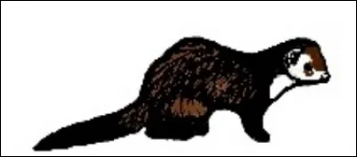 De quel marquage s'agit-il ?